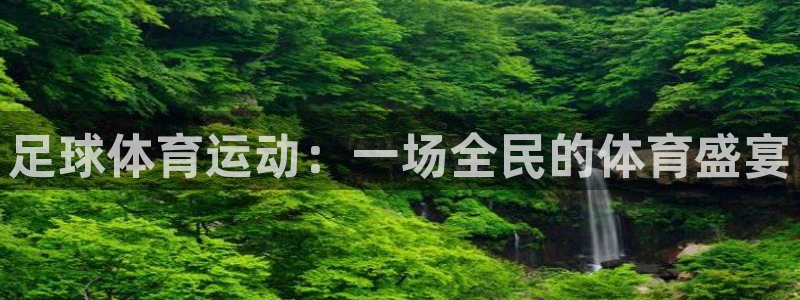 球王会体育：足球体育运动：一场全民的体育盛宴
