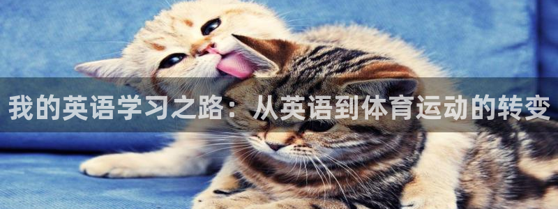 球王会体育：我的英语学习之路：从英语到体育运动的转变