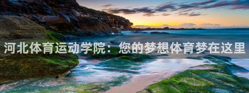 球王会体育
