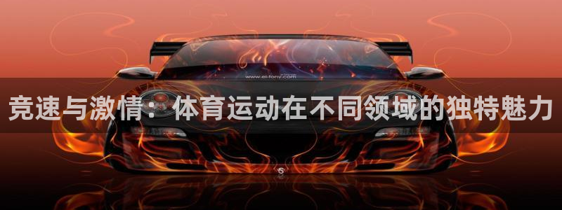 球王会体育