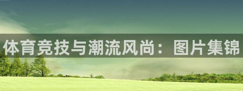 球王会体育