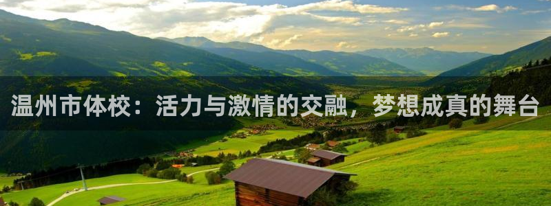 球王会体育