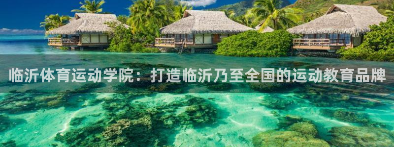 球王会体育
