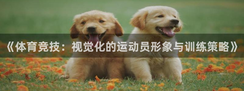 球王会体育：《体育竞技：视觉化的运动员形象与训练策略》