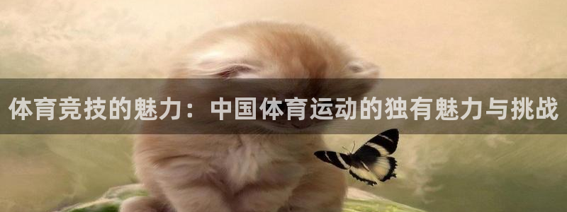 球王会体育：体育竞技的魅力：中国体育运动的独有魅力与挑战