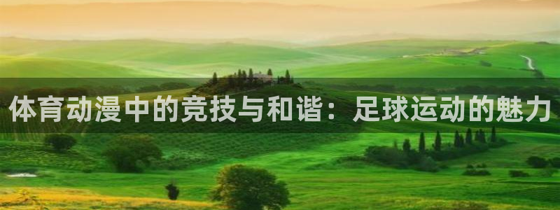 球王会体育：体育动漫中的竞技与和谐：足球运动的魅力