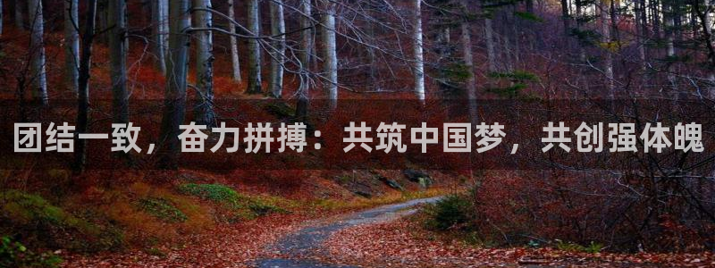 球王会体育：团结一致，奋力拼搏：共筑中国梦，共创强体魄