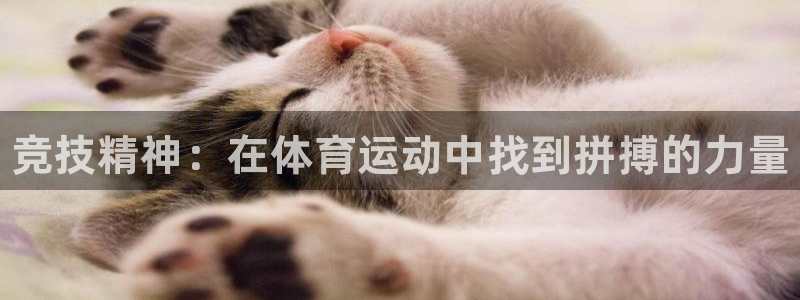 球王会体育：竞技精神：在体育运动中找到拼搏的力量