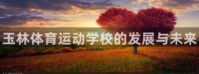 球王会体育：玉林体育运动学校的发展与未来