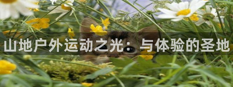 球王会体育：山地户外运动之光：与体验的圣地