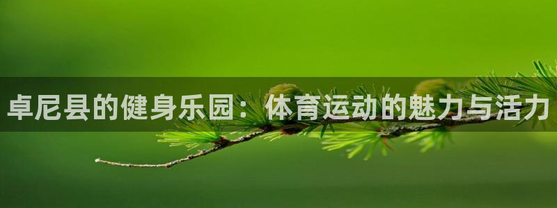 球王会体育：卓尼县的健身乐园：体育运动的魅力与活力