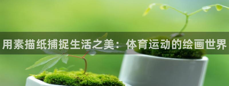 球王会体育：用素描纸捕捉生活之美：体育运动的绘画世界