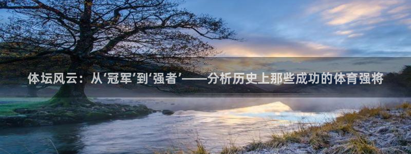 球王会体育：体坛风云：从‘冠军’到‘强者’——分析历史上那些成功的体育强将