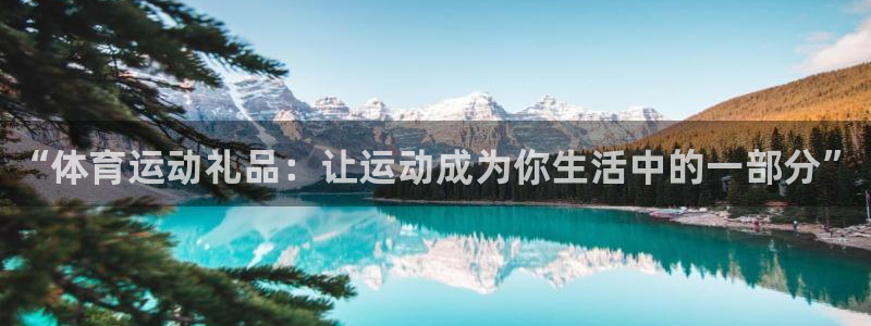 球王会体育：“体育运动礼品：让运动成为你生活中的一部分”
