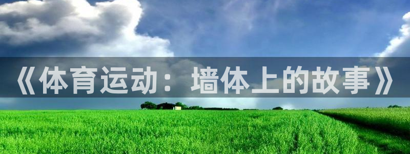球王会体育：《体育运动：墙体上的故事》