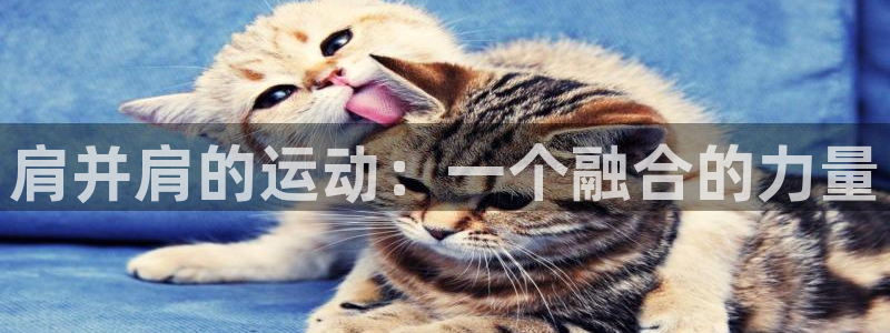 球王会体育：肩并肩的运动：一个融合的力量