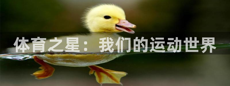 球王会体育：体育之星：我们的运动世界