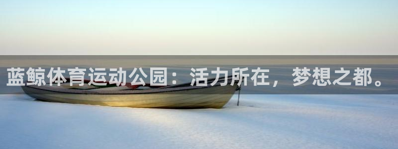 球王会体育：蓝鲸体育运动公园：活力所在，梦想之都。