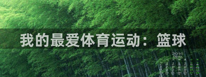 球王会体育：我的最爱体育运动：篮球
