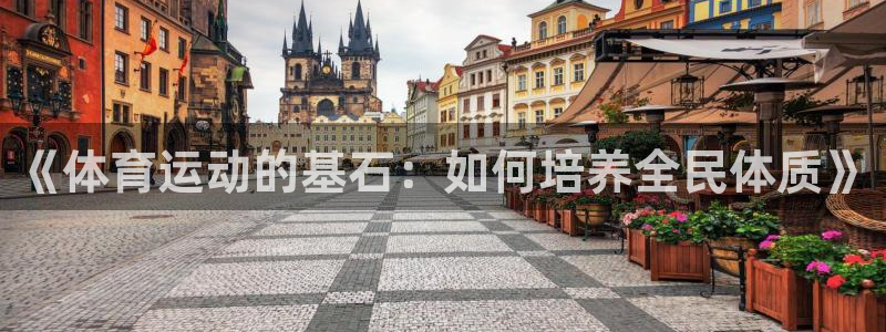 球王会体育：《体育运动的基石：如何培养全民体质》