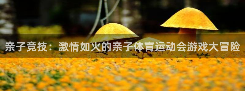 球王会体育：亲子竞技：激情如火的亲子体育运动会游戏大冒险