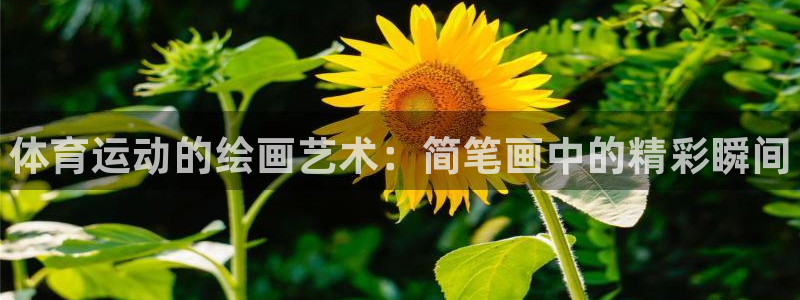 球王会体育：体育运动的绘画艺术：简笔画中的精彩瞬间