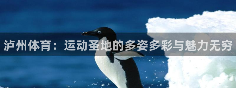球王会体育：泸州体育：运动圣地的多姿多彩与魅力无穷