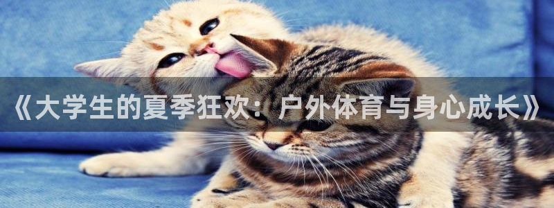 球王会体育：《大学生的夏季狂欢：户外体育与身心成长》