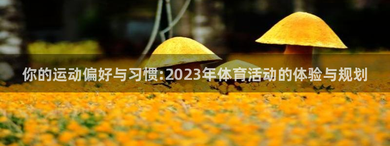 球王会体育：你的运动偏好与习惯:2023年体育活动的体验与规划