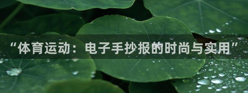 球王会体育：“体育运动：电子手抄报的时尚与实用”