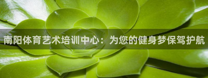 球王会体育：南阳体育艺术培训中心：为您的健身梦保驾护航