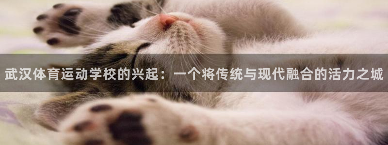 球王会体育：武汉体育运动学校的兴起：一个将传统与现代融合的活力之城