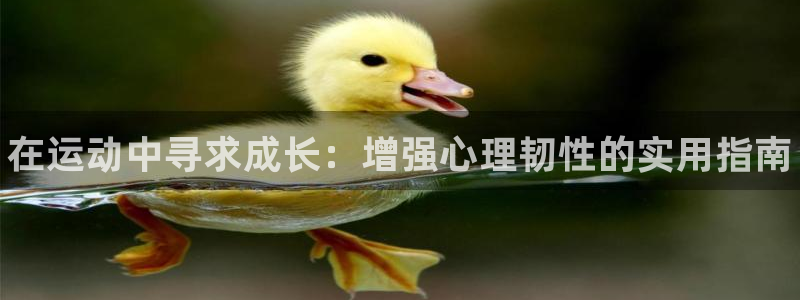 球王会体育