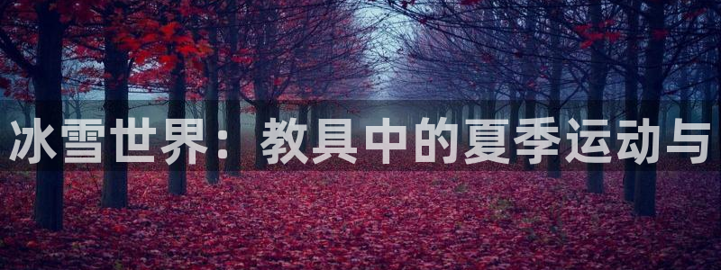 球王会体育：冰雪世界：教具中的夏季运动与