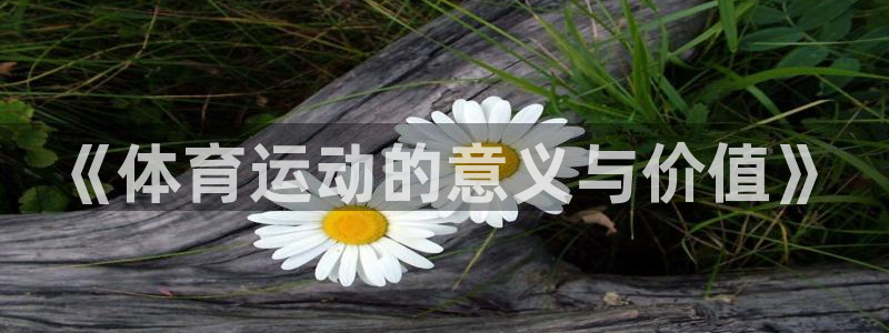 球王会体育：《体育运动的意义与价值》