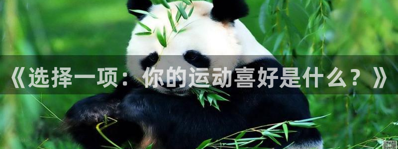 球王会体育