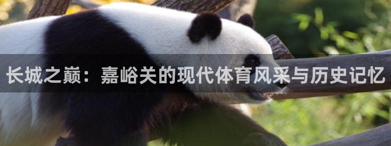 球王会体育