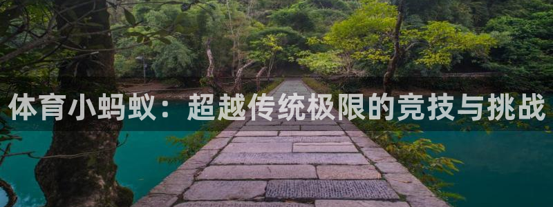 球王会体育