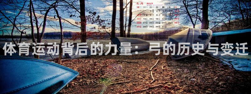 球王会体育