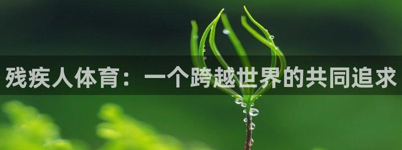球王会体育：残疾人体育：一个跨越世界的共同追求