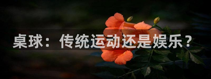 球王会体育