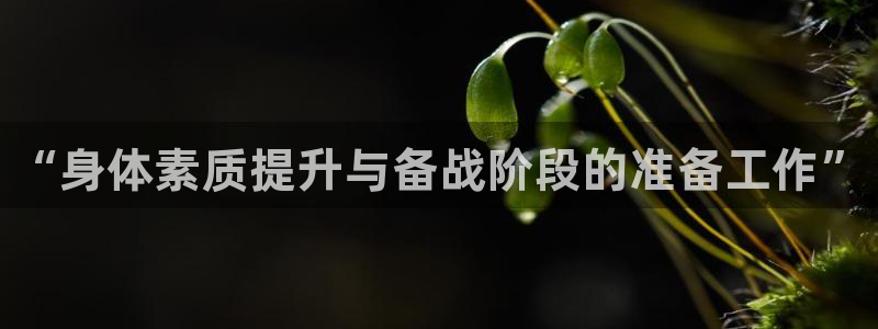 球王会体育