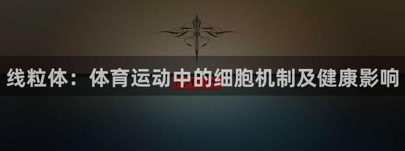 球王会体育