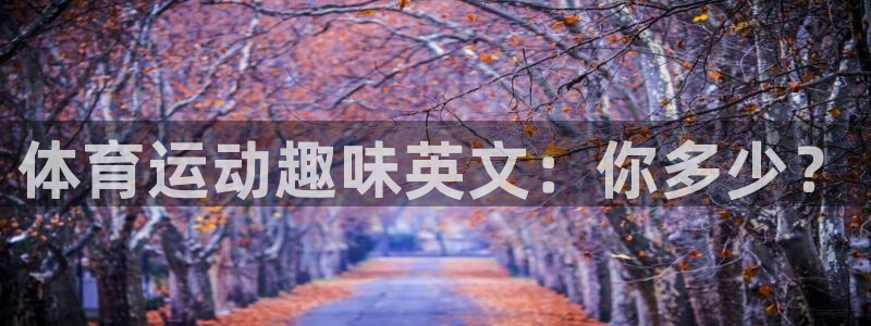 球王会体育