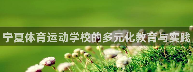 球王会体育