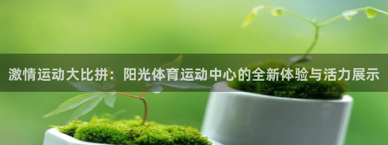 球王会体育