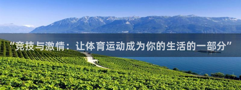 球王会体育