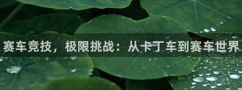 球王会体育