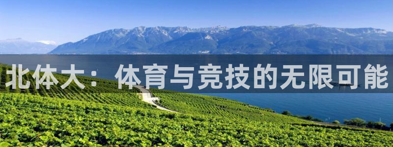 球王会体育