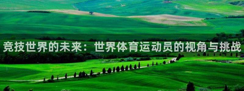 球王会体育